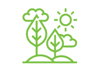 Environment sustainability at Tricel - Illustration of Trees in the Sun Illustration of Trees in the Sun